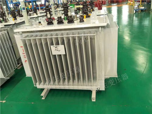 Oil-immersed power transformers